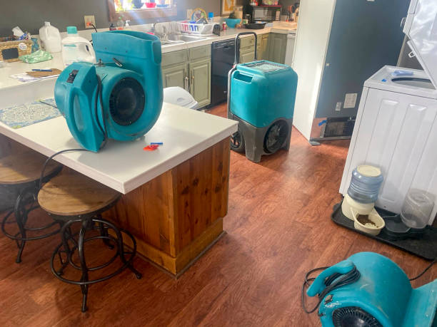 Best Professional water damage repair  in Mdleton, ID