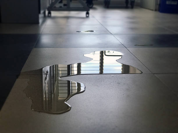 Best Local water damage restoration  in Mdleton, ID